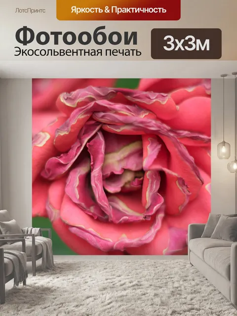 Фотообои Розовая роза 2