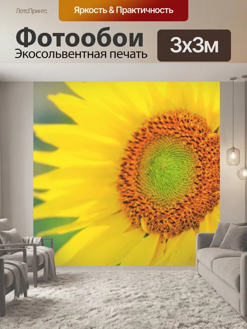 Фотообои Подсолнух осенью цвести цветок