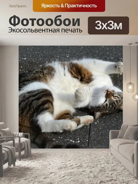 Фотообои Кот