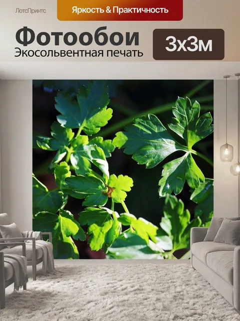 Фотообои солнечный свет на зеленой итальянской пе