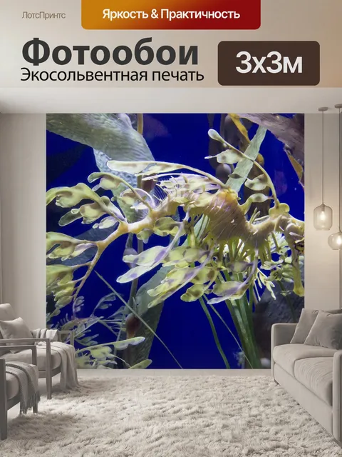 Фотообои Морской конек