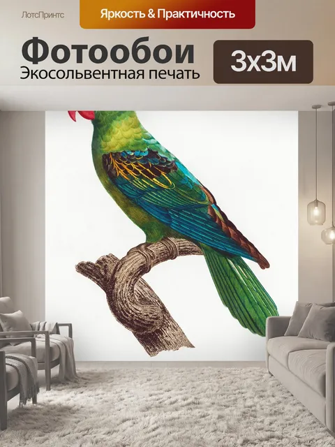 Фотообои Попугай птица старинное искусство