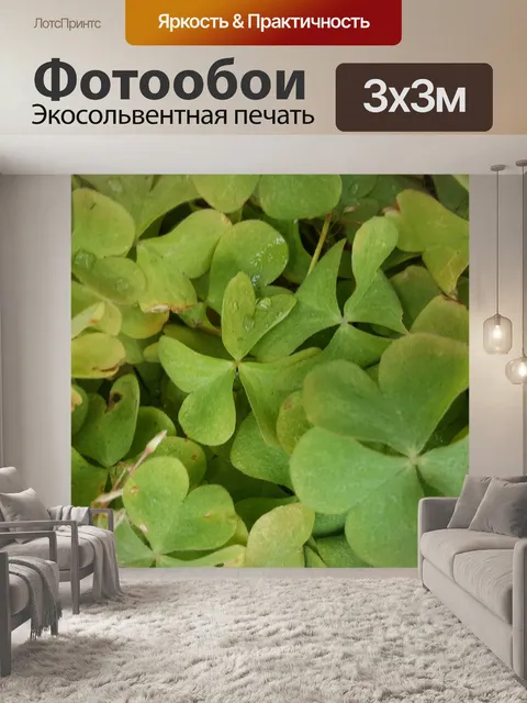 Фотообои Зеленые клеверы
