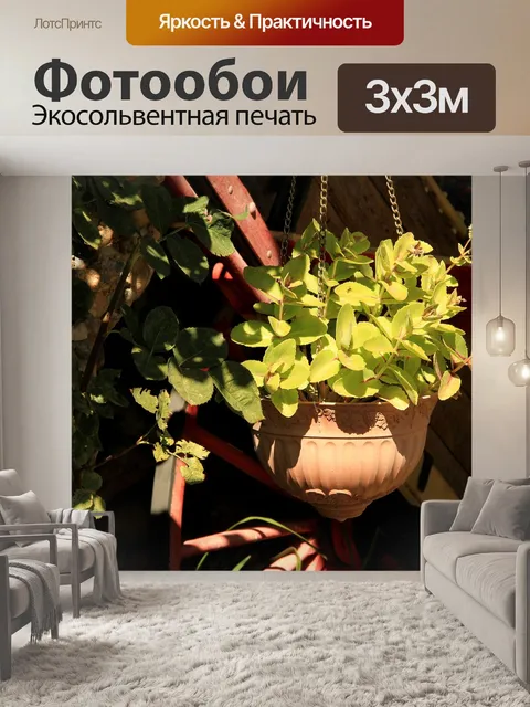 Фотообои Цветочный горшок