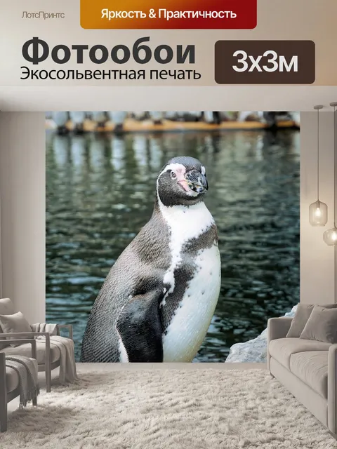 Фотообои Пингвин