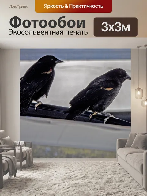 Фотообои птицы на двери машины