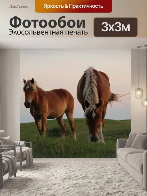 Фотообои Два Браун Лошади на пастбище