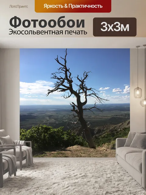 Фотообои Меса верде