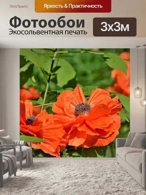 Фотообои Маки