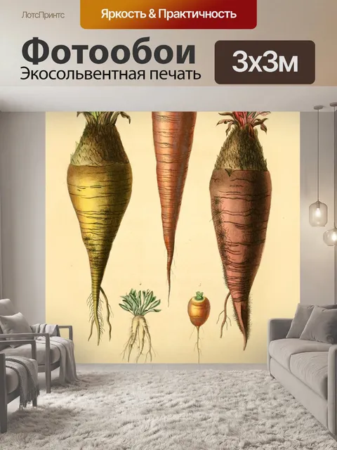 Фотообои Сад овощи винтаж старый