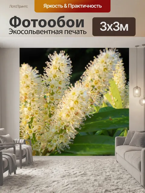 Фотообои Хорошие белые цветы