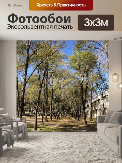 Фотообои Дерево