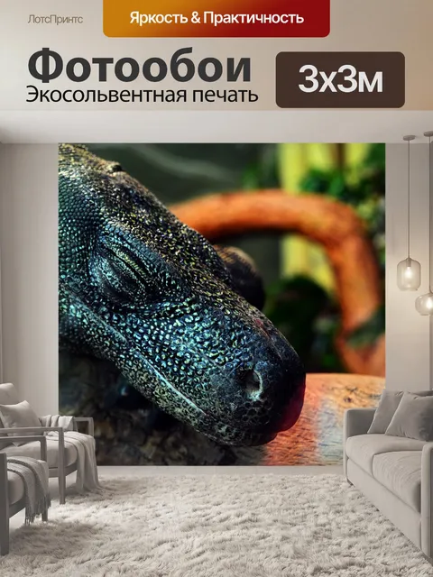 Фотообои Дракон комодо