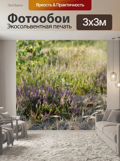 Фотообои Вереск