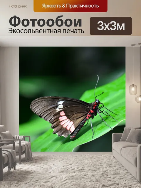 Фотообои Розовый рогатый скот