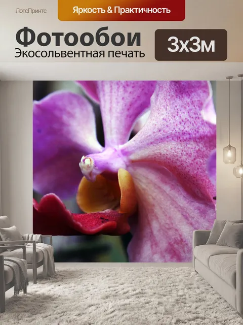 Фотообои фиолетовых орхидей