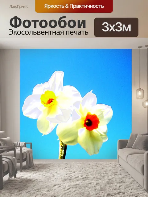 Фотообои Весна Нарциссы