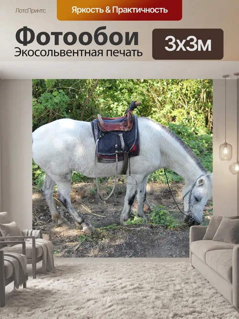 Фотообои белая лошадь