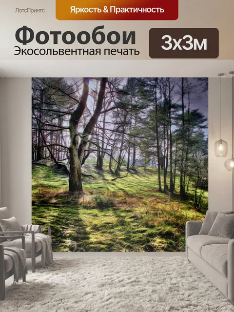 Фотообои Лес фон