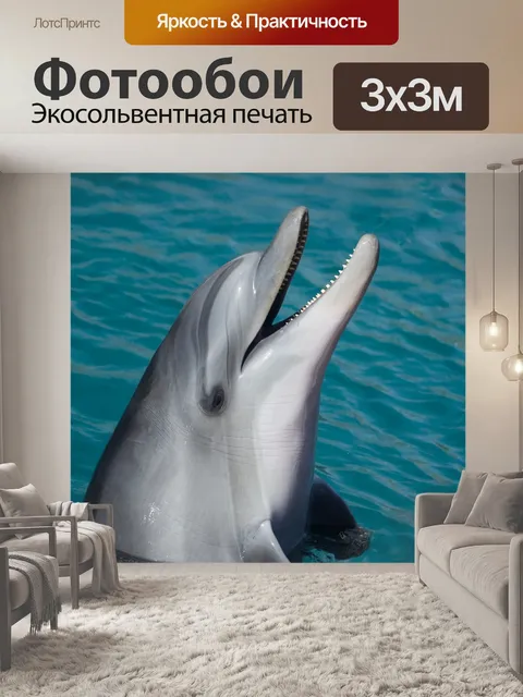 Фотообои Дельфин, Tursiops truncatus