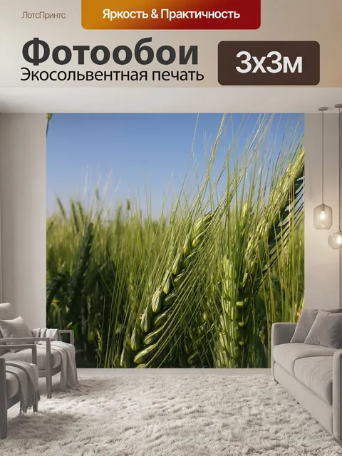 Фотообои Небо