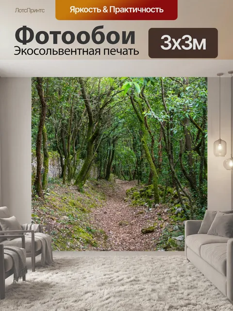 Фотообои Путь