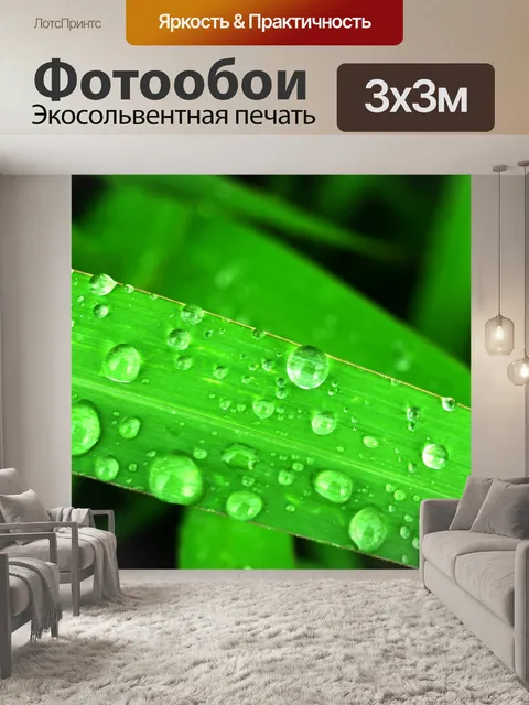 Фотообои Капля воды на листе