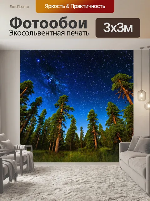 Фотообои лес с ясным небом и вечерней звёздной галактикой на фоне