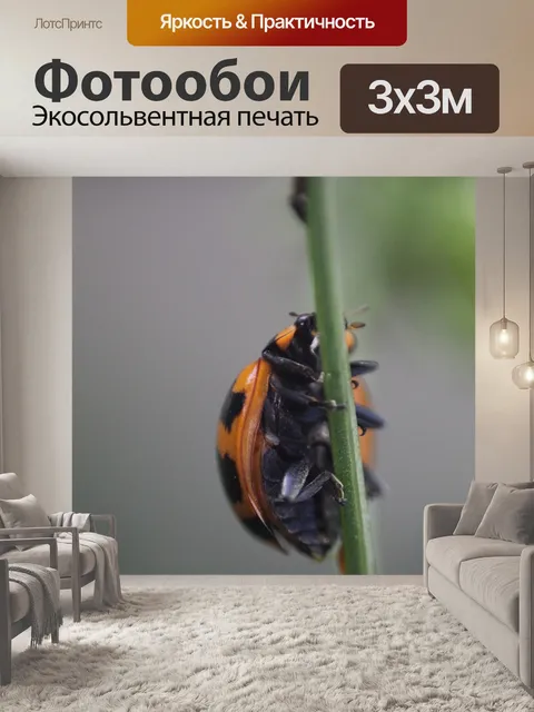 Фотообои Макрос