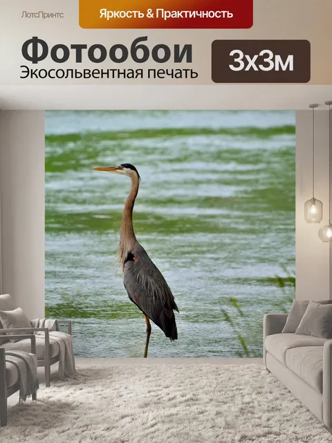 Фотообои Большая голубая цапля