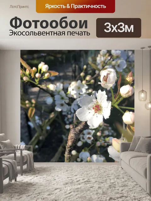 Фотообои Сад