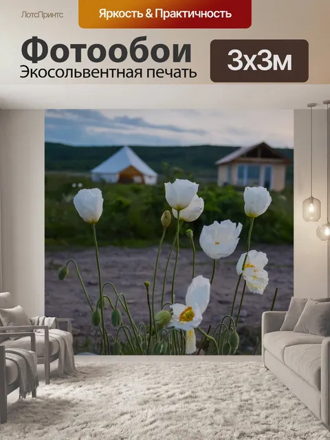 Фотообои Белые маки