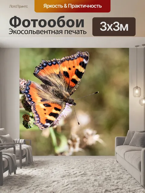 Фотообои Бабочка