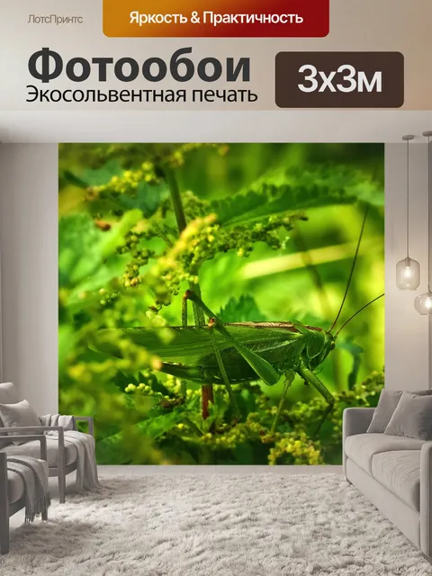 Фотообои Животное