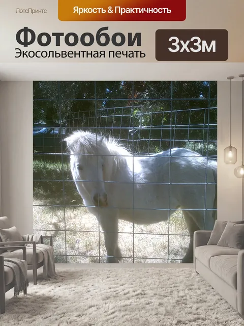 Фотообои Миниатюрный Лошадь