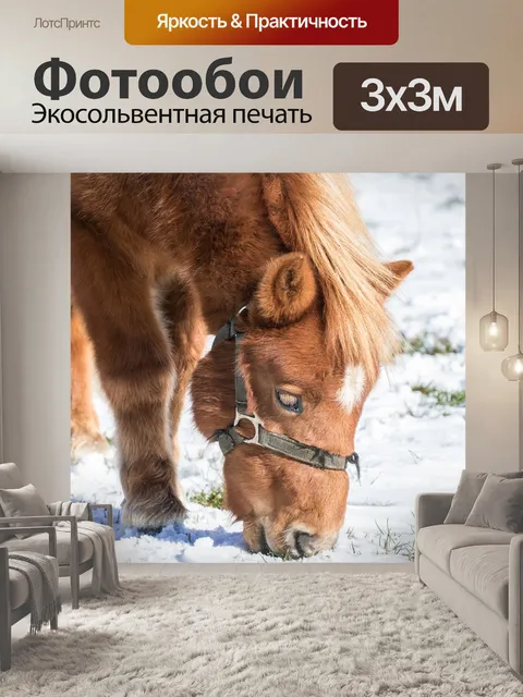 Фотообои Лошадь