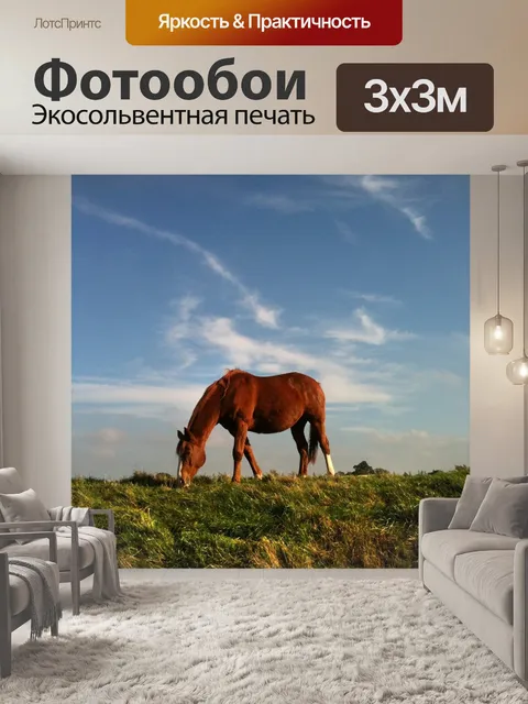 Фотообои Лошадь