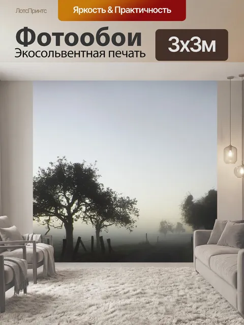 Фотообои Туман