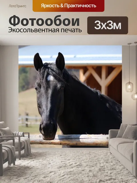 Фотообои Черный конь