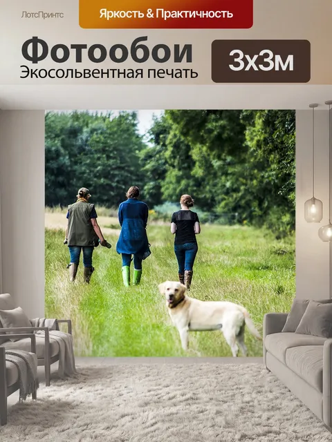 Фотообои Страна