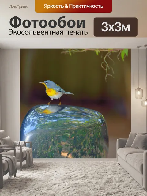 Фотообои Северная Parula Дерево камышевки