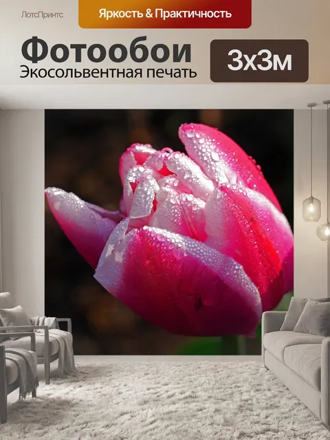 Фотообои Тюльпан