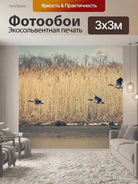 Фотообои Гуси