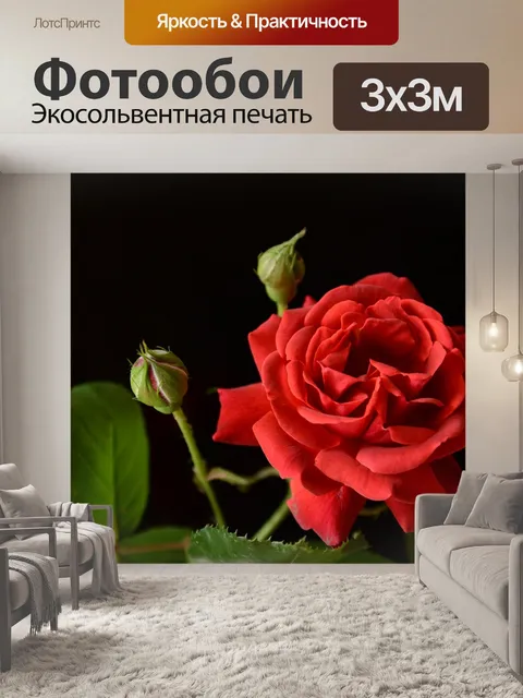 Фотообои Роуз