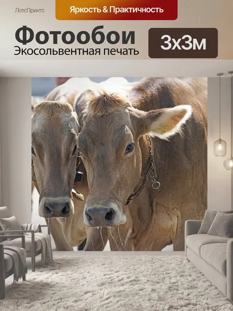 Фотообои Альпийский драйв