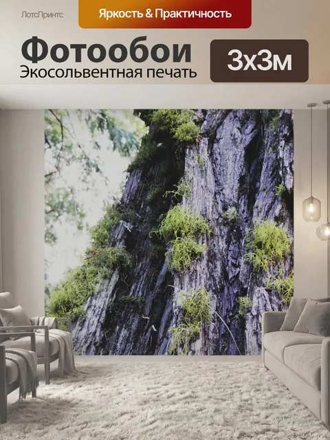 Фотообои Древесина