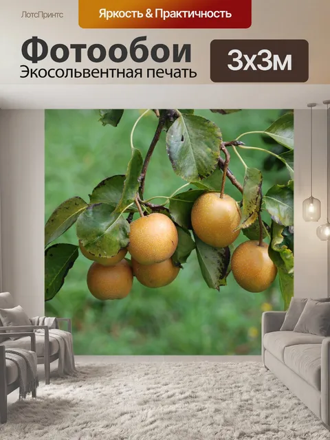 Фотообои Яблоня