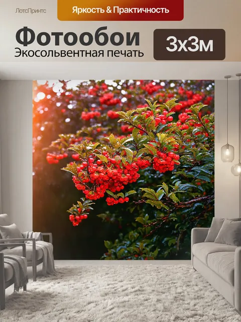 Фотообои кусты красного боярышника, покрытые утренней росой в ярком солнечном свете