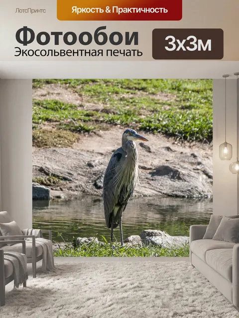 Фотообои Голубая цапля