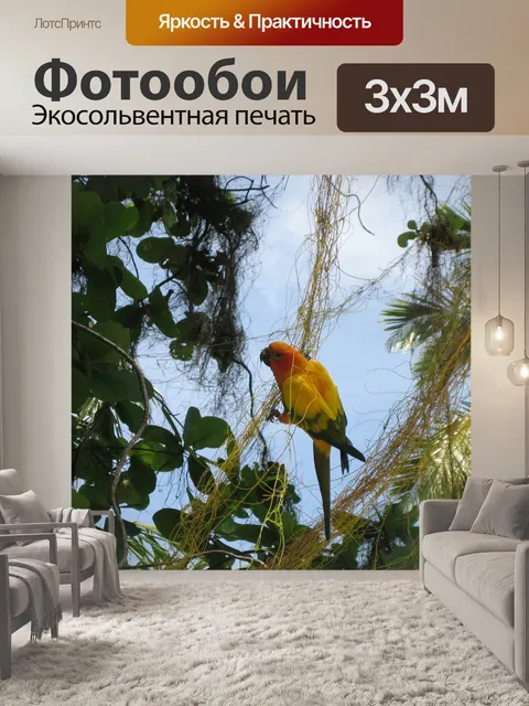 Фотообои Попугай